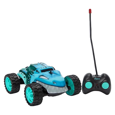 Monzoo Remote Control Car
