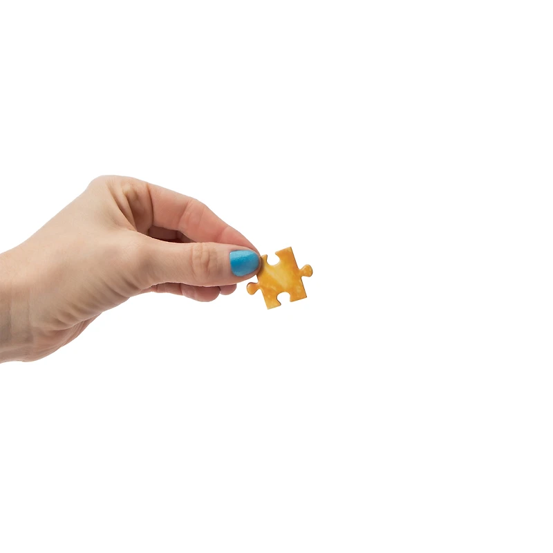 Nachos Puzzle Pack 219-Pieces