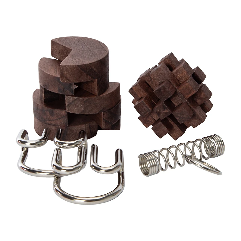 Brain Busters Wood & Metal Brain Puzzles 4-Pack
