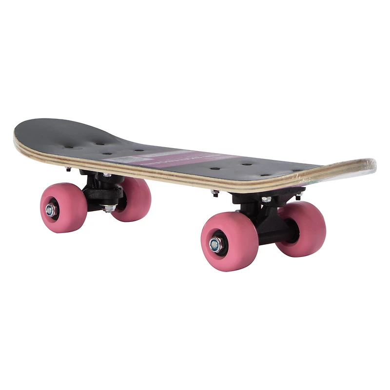 Printed Mini Skateboard 17in