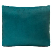 Harry Potter™ Hogwarts Express Throw Pillow