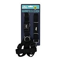 Pawsitively Fun! Pet Harness & Leash