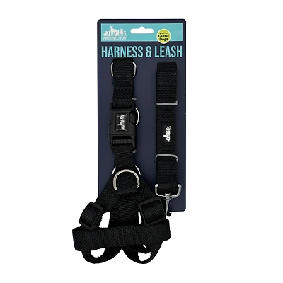 Pawsitively Fun! Pet Harness & Leash