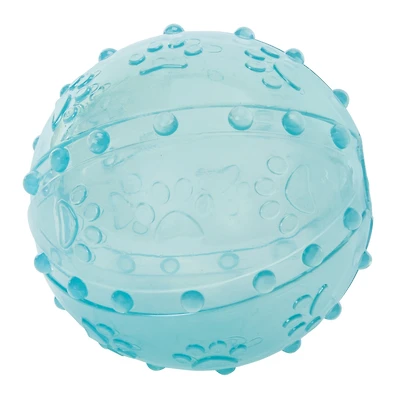 Chew & Fetch Dog Ball