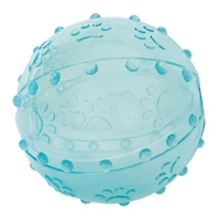 Chew & Fetch Dog Ball