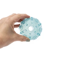 Chew & Fetch Dog Ball