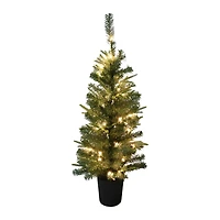 Potted Christmas Tree With Lights