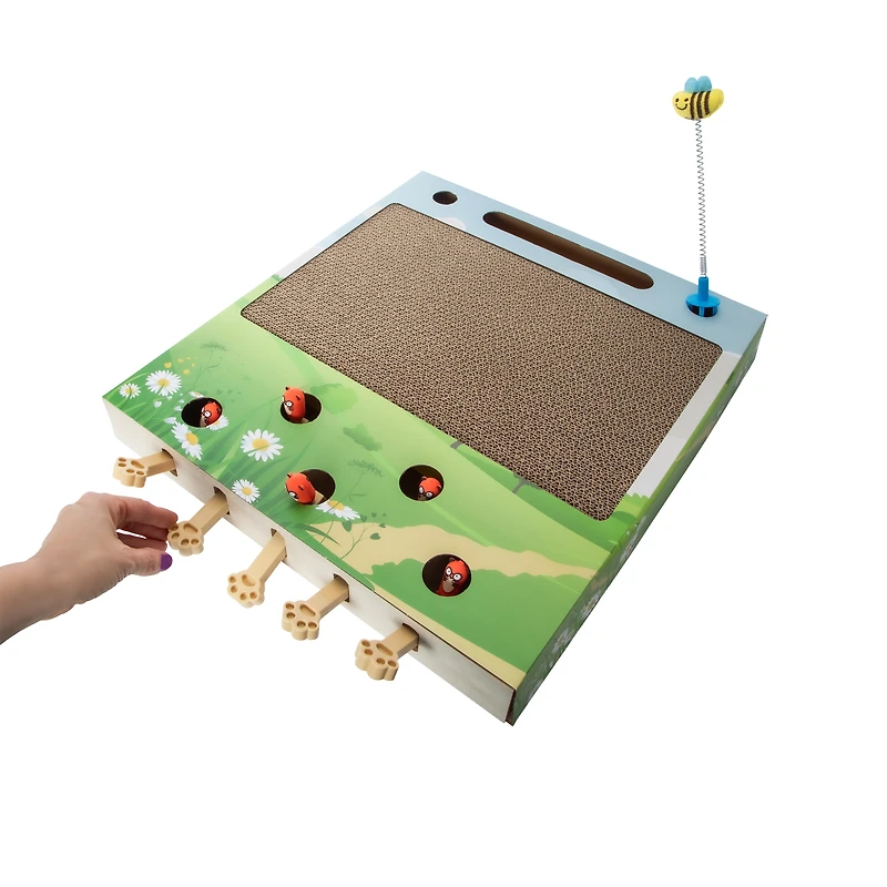 Hide And Seek Scratcher Pet Toy