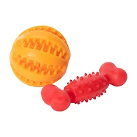 Pawsitively Fun! Rubber Dog Toys 2-Pack