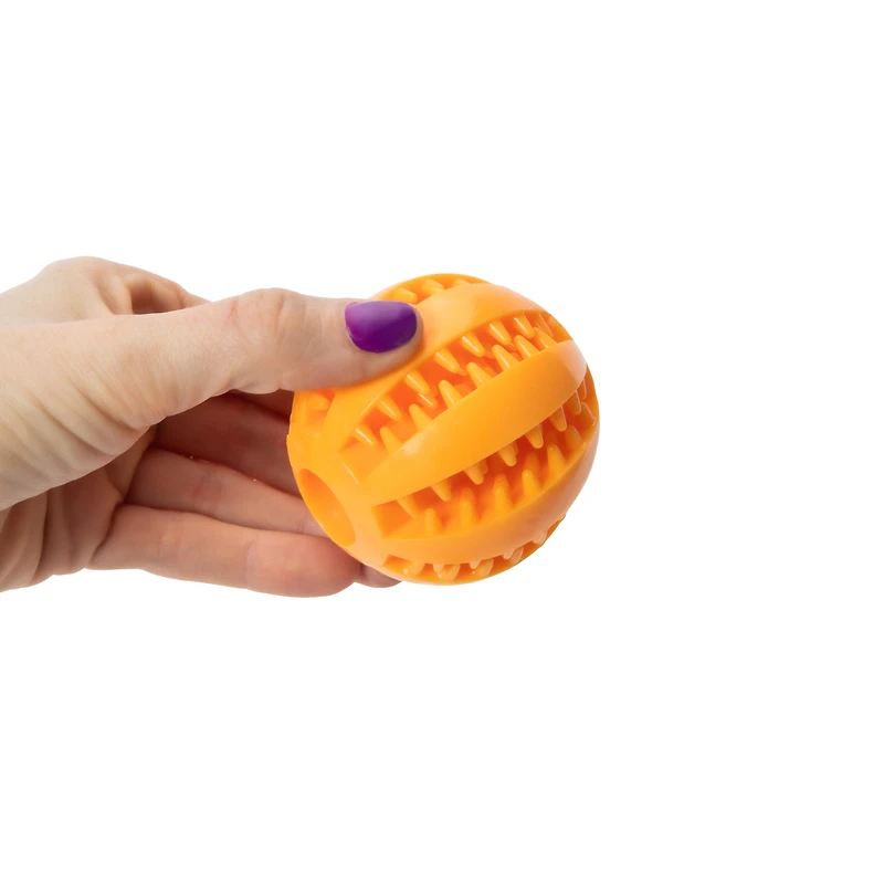 Pawsitively Fun! Rubber Dog Toys 2-Pack