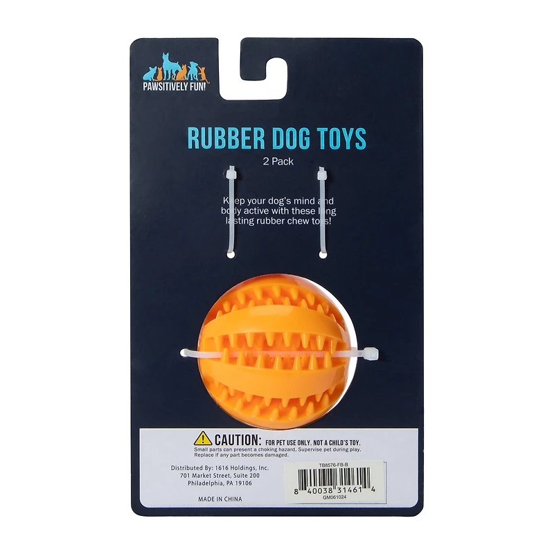 Pawsitively Fun! Rubber Dog Toys 2-Pack