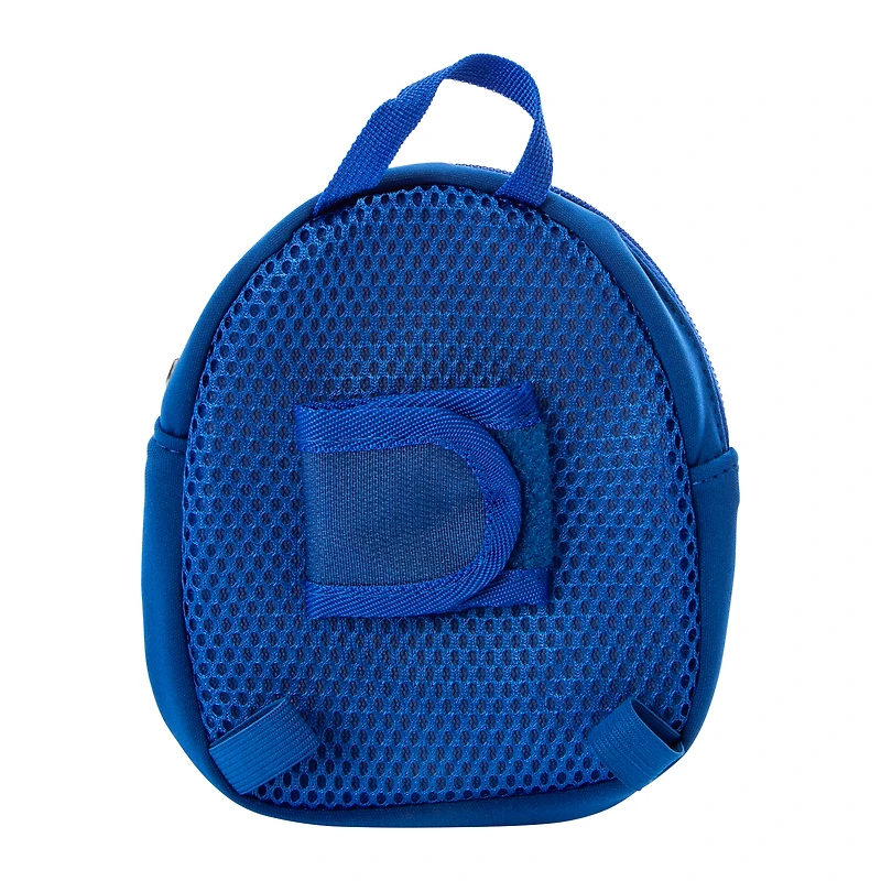 Pawsitively Fun Pet Backpack