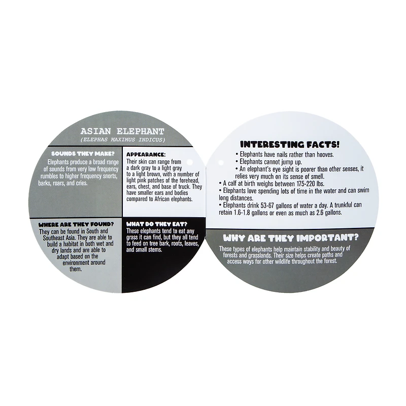 Ploofs™ Wilderness Biome Plush