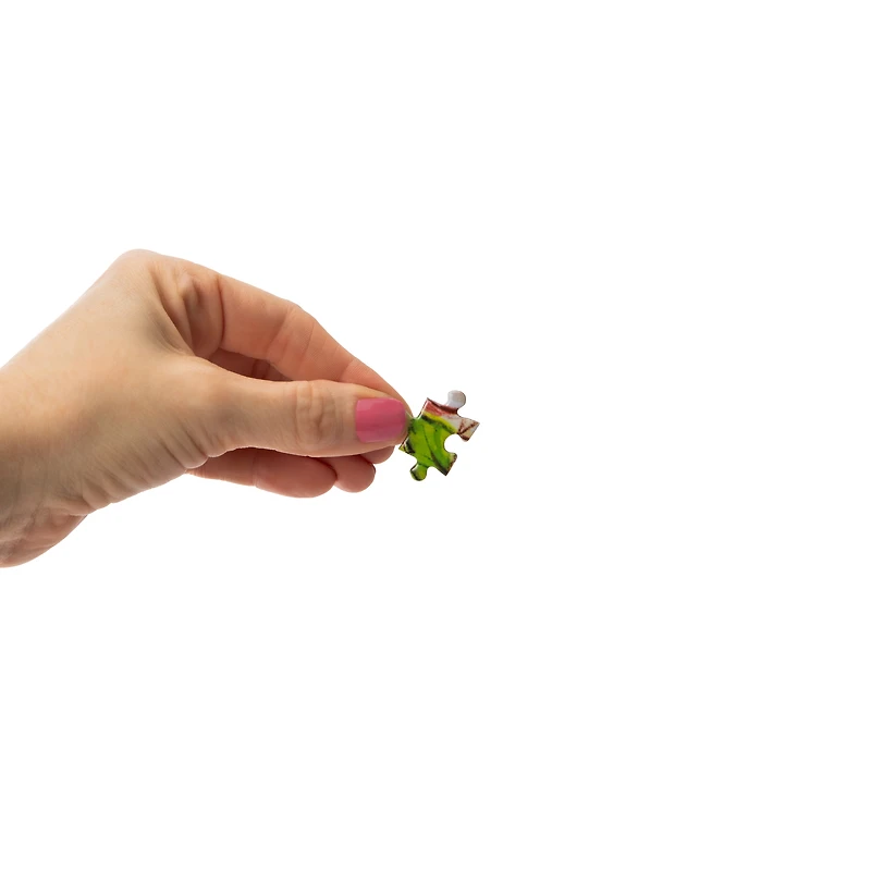 Strawberry Shortcake Puzzle 500 Pieces