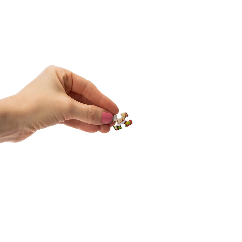 Strawberry Shortcake Collage Puzzle 500-Pieces