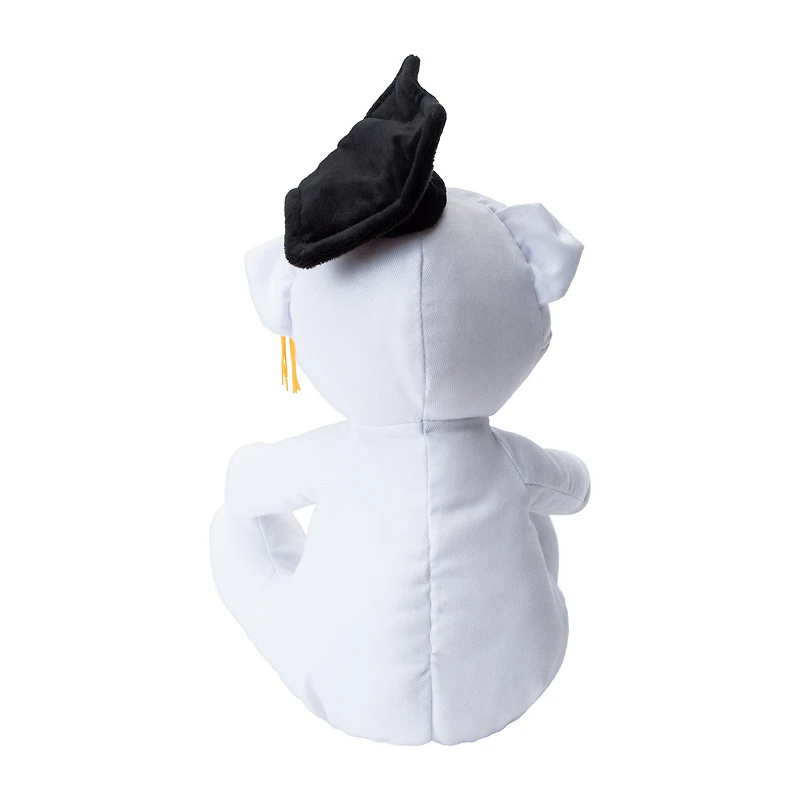 Write-On Graduation Bear Plush