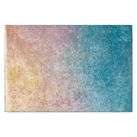 Washable Area Rug 48in x 72in