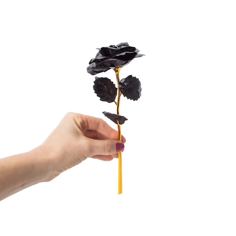 Valentine's Day Rose