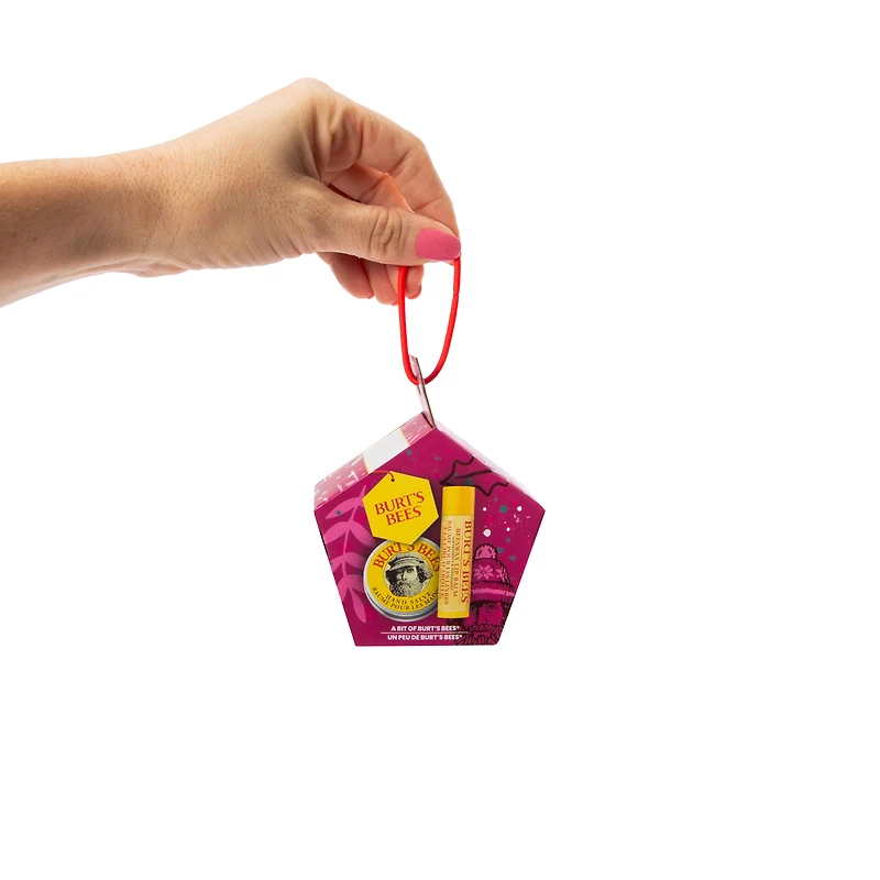 Burt's Bees Holiday Gift Set, Lip Balm and Hand Salve