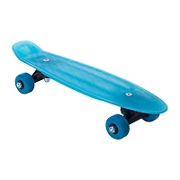 Mini Skateboard 17in