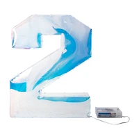 16 Party Lights 12in