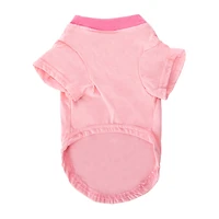 Strawberry Shortcake Pet Graphic Tee