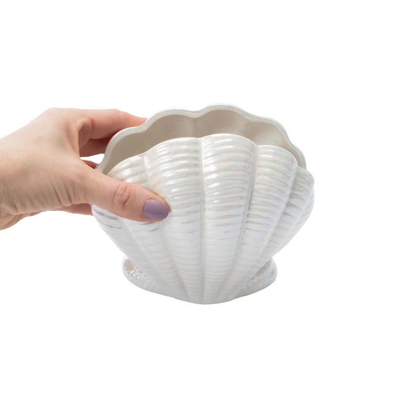 Seashell Vase