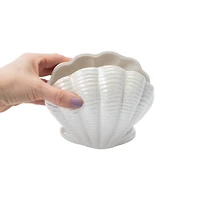 Seashell Vase