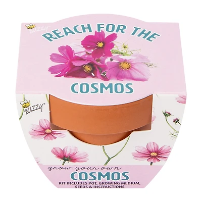 Mini Grow Your Own Plant Pot Kit