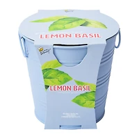 Grow Your Own Plant Complete Kit