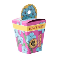 Burt's Bees® Dragonfruit Lemon Moisturizing Lip Balm Spring Gift Set 0.15oz