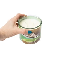 Fruit Collection Scented Candle 13.5oz