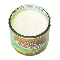 Fruit Collection Scented Candle 13.5oz