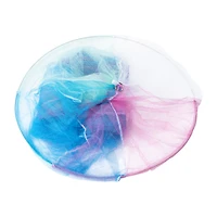 Bed Canopy 19in x 100in