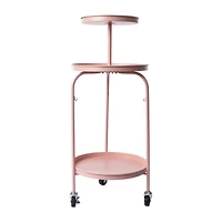 Color Vanity Cart