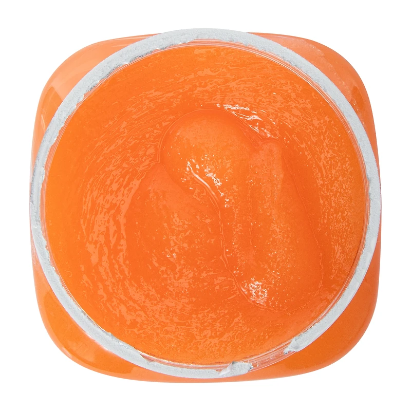 ScentXScent Peach Mango Body Scrub 13oz