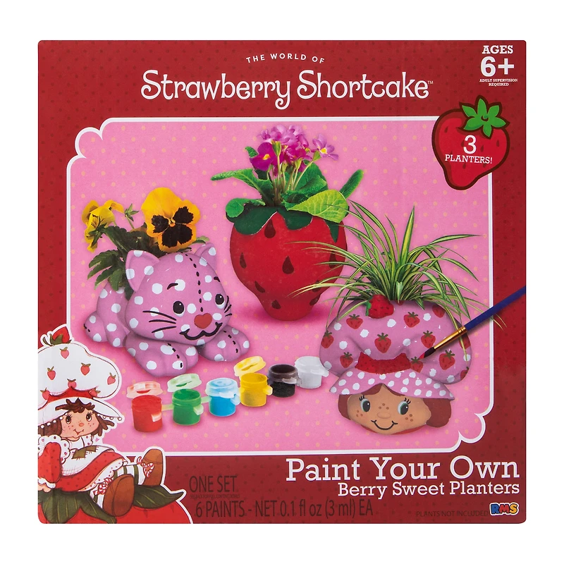 Strawberry Shortcake™ Paint Your Own Berry Sweet Planters Set
