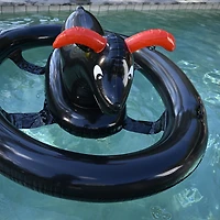 Bull Riding Float