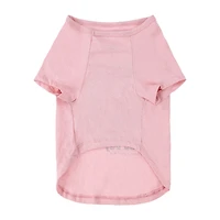 Pawsitively Fun! Pet Graphic Tee