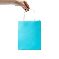 Medium Kraft Gift Bags 8-Count