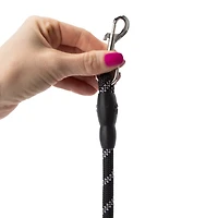 Pet Double Dog Leash