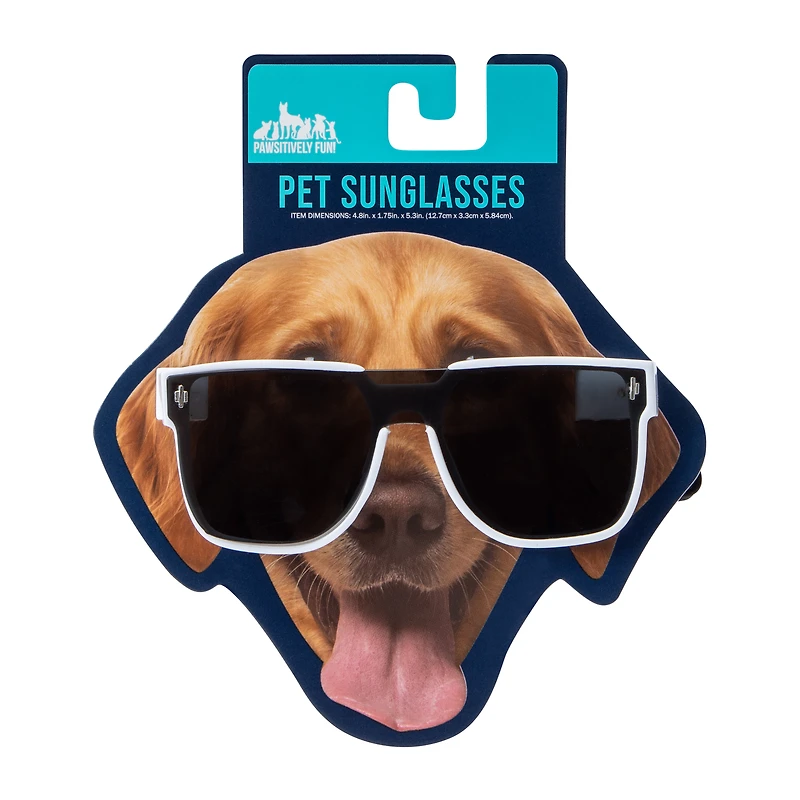 Pet Sunglasses