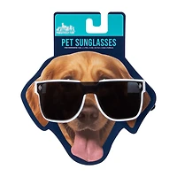 Pet Sunglasses