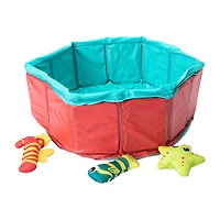 Pawsitively Fun! Cat Pool & Floating Toy Set