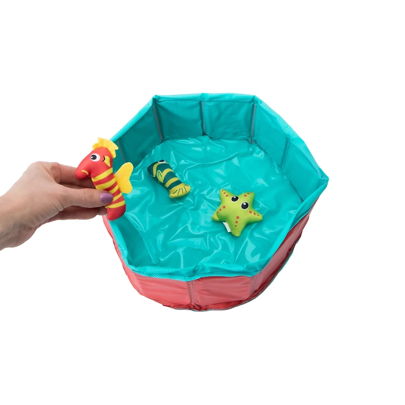 Pawsitively Fun! Cat Pool & Floating Toy Set