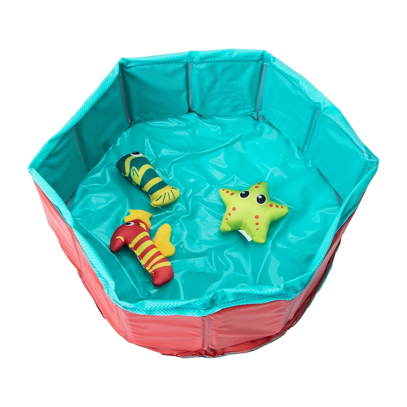Pawsitively Fun! Cat Pool & Floating Toy Set