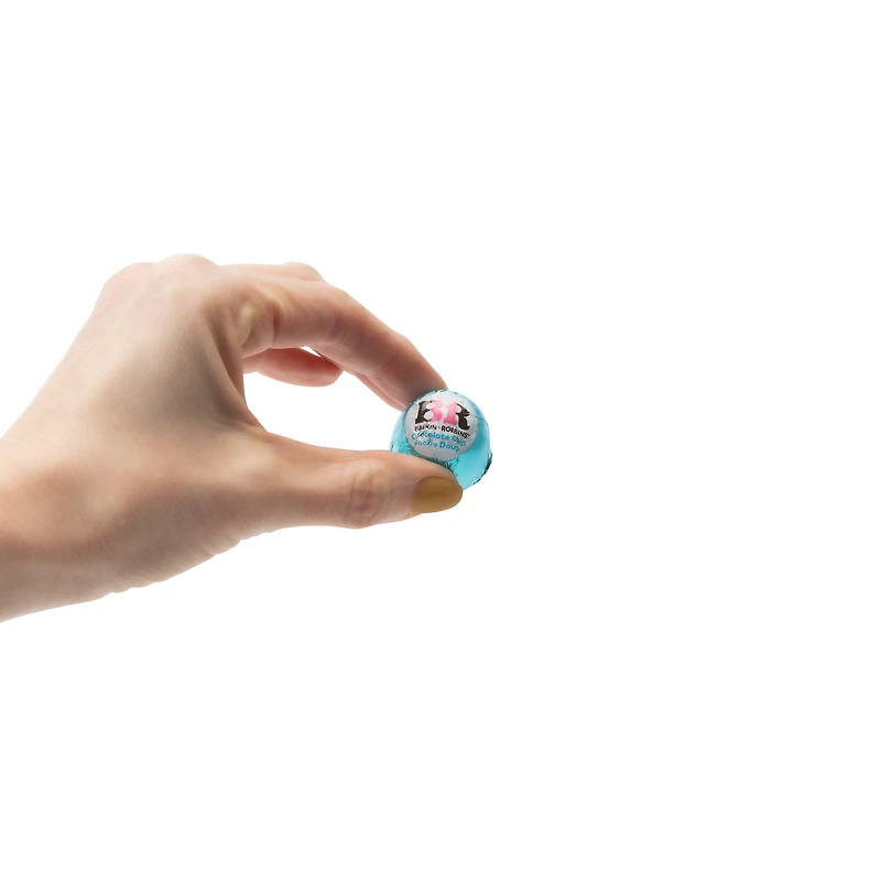 Baskin Robbins™ Chocolate Chip Cookie Dough Chocolates 5oz