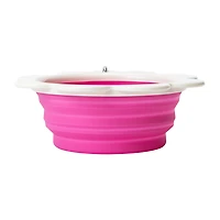 Dog Travel Bowl 12oz