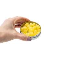 Iconic Candy Retro Sours Mango Candy Tin 2.12oz