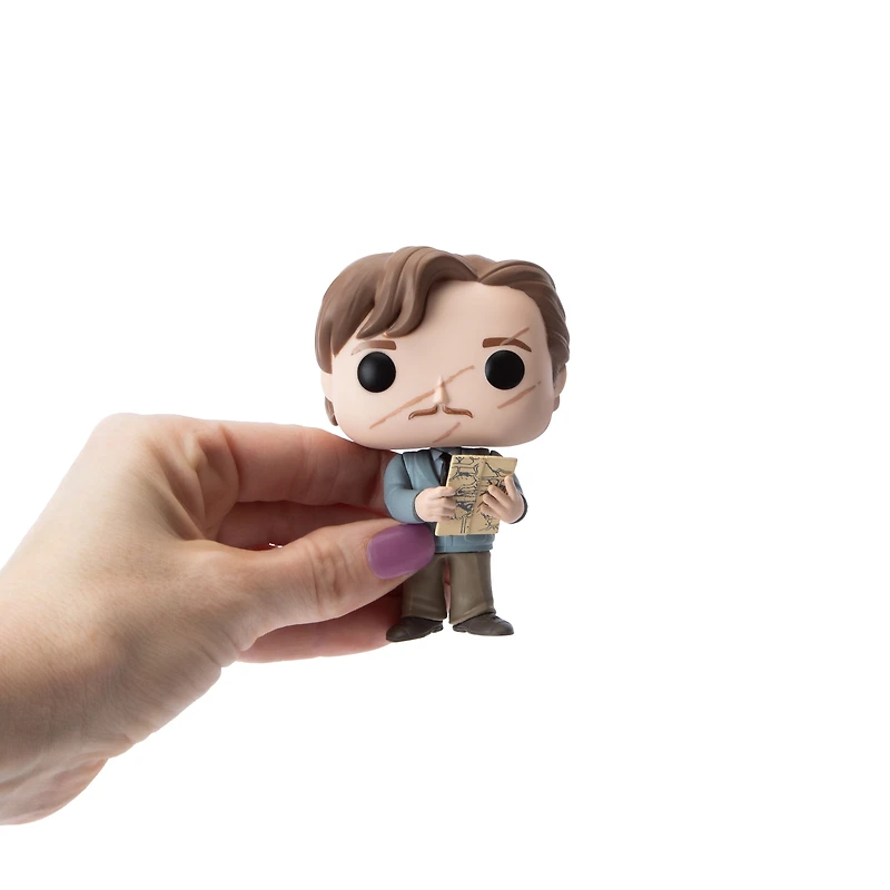 Funko Pop!® Harry Potter Remus Lupin™ Vinyl Figure